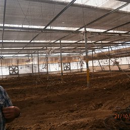 ���� ���������, ������, 75 ��� - ��������� 21 ���� 2015