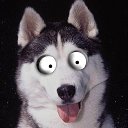 ���� ������, ������� - ��������� 8 ��� 2015