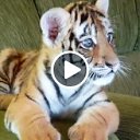 ���� �����, ������������ - ��������� 17 ��� 2015 � ������ ������ ��������