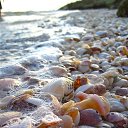 ���� Osama, �������, 61 ��� - ��������� 30 ���� 2015 � ������ ������ ��������