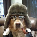 ���� ������� ������, �����������, 67 ��� - ��������� 2 ���� 2015 � ������ ���� ����������