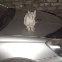 ������� ����� ��� ���������� �� ������� ���������