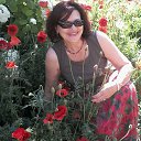 ���� Sinet, ������, 60 ��� - ��������� 15 ���� 2015