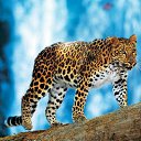 ���� ����, ��� - ��������� 27 ���� 2015 � ������ ���� ����������