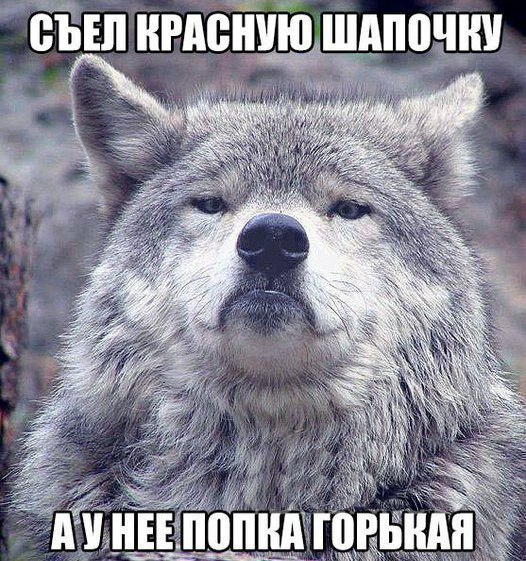 Волк на все случаи жизни.