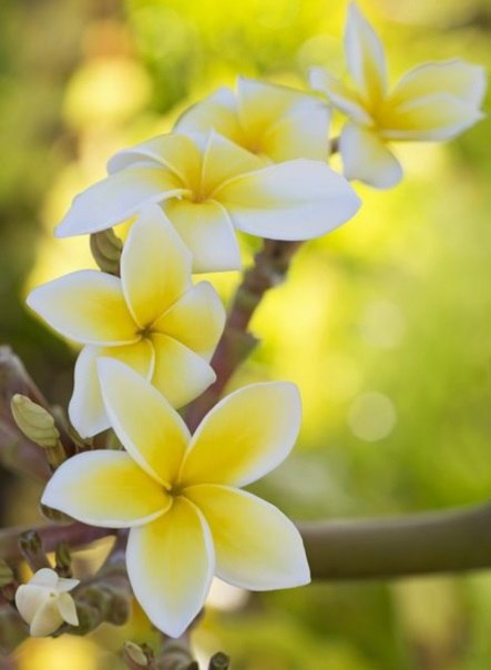 |В| Счастье есть... |В| - 16 мая 2015 в 12:28