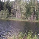 ���� ��������, �����-��������� - ��������� 28 ���� 2015 � ������ ������ �� �����