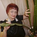  , -, 70  -  15  2015    