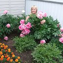 ���� �����, ������� - ��������� 29 ���� 2015 � ������ ���� ����������