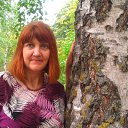 ����� ������ ����� ��������.