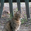 �������� �����. �� ������� ���� ������