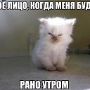 ���� Roman, ��������, 37 ��� - ��������� 1 ������� 2015 � ������ ������ ��������