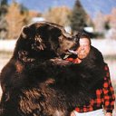 ���� ����, ������, 37 ��� - ��������� 24 ������� 2015 � ������ ������ ��������