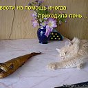 ���� T���, ��������, 71 ��� - ��������� 6 ���� 2015 � ������ ������ ��������