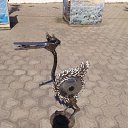 ���� ������, �����, 36 ��� - ��������� 23 �������� 2015 � ������ ������ ��������