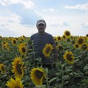 ���� ������, ��������, 62 ���� - ��������� 23 �������� 2015 � ������ ���� ����������