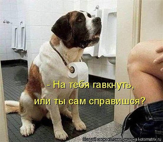 *Abrakadabra* - 26 ������� 2015 � 18:52