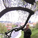 ���� ����, �����, 50 ��� - ��������� 28 ���� 2015