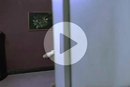���� Sall ������*�f (��������), ������, 39 ��� - ��������� 30 ������ 2015 � ������ ������, ������