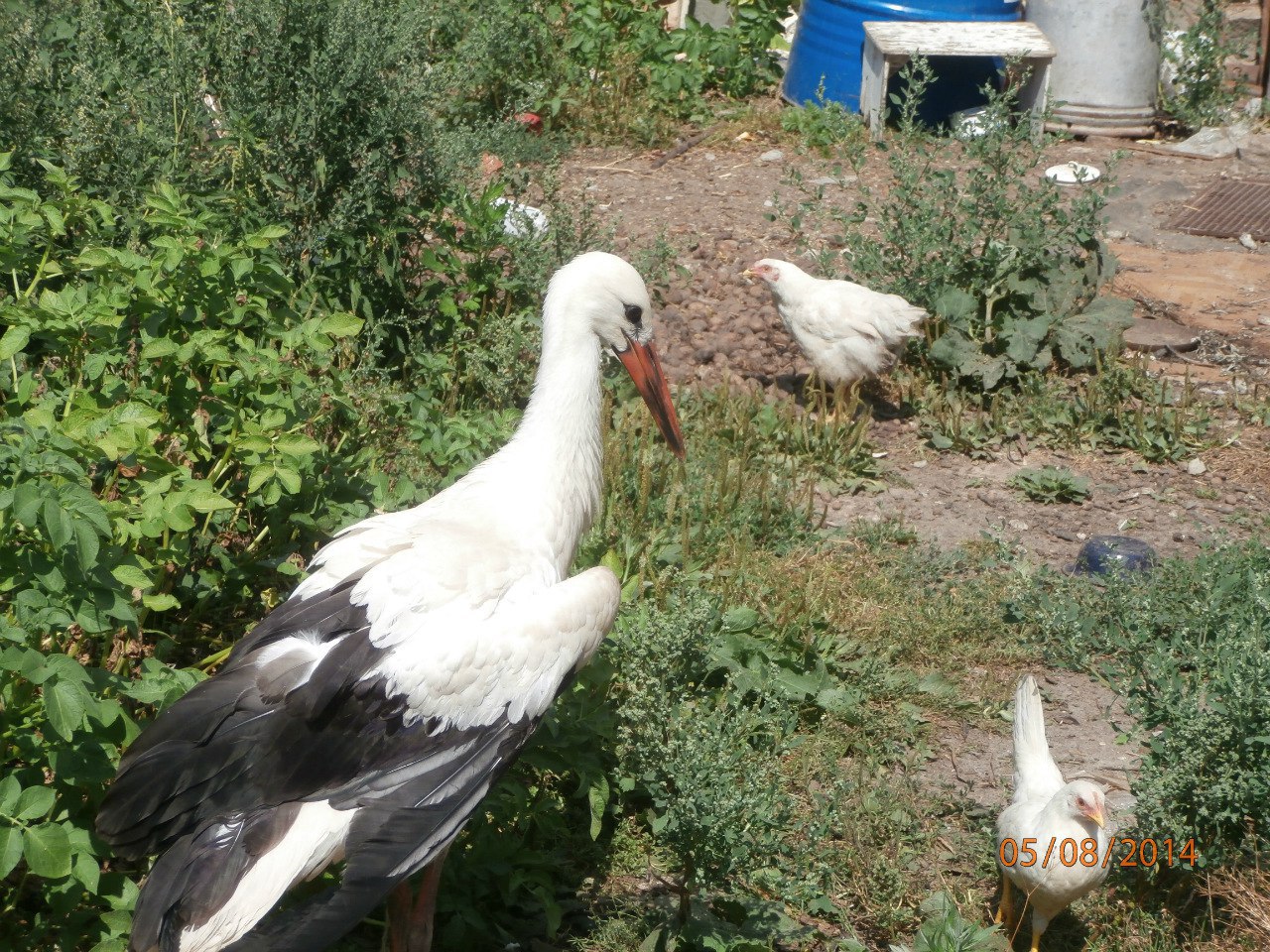   - 19  2015  21:54 - 2