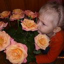 ���� �����, ������������, 33 ���� - ��������� 1 ���� 2015 � ������ ������ ��������