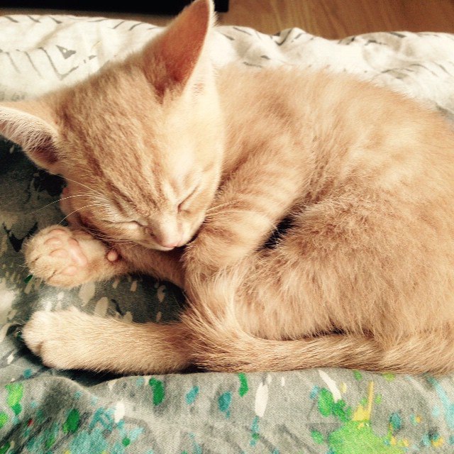  , ,        ?  10     ...