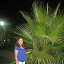  , , 56  -  2  2015    - 2015