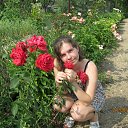 ���� �����, ������� - ��������� 22 ���� 2015 � ������ ���� ����������