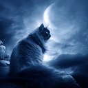 ���� Lu, ����� - ��������� 30 ������� 2015 � ������ ������ ��������