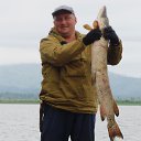 ���� ������, ���������, 66 ��� - ��������� 11 ������� 2015