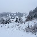 ���� ������, �����-��������� - ��������� 16 ��� 2015 � ������ ����� (���� vs ����)�