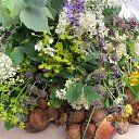  , -- -  14  2015    2015