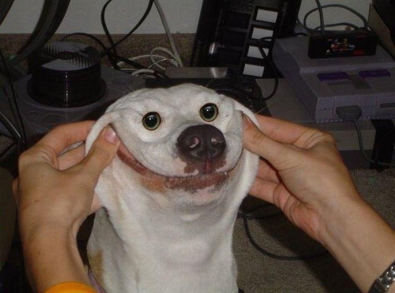 -, , , !!!