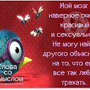 ���� �������, ������ - ��������� 21 �������� 2015 � ������ ���� ����������
