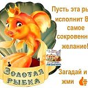 ���� �����, ��� - ��������� 4 ��� 2015 � ������ �������
