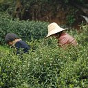 ���� Iga, ������� - ��������� 11 �������� 2015 � ������ ���� ����������