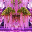 ���� Alina, ������ - ��������� 3 ��� 2015 � ������ ������ ��������