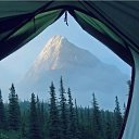 ���� �����, �����������, 41 ��� - ��������� 24 ���� 2015 � ������ ������ ��������