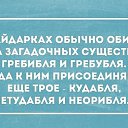 ���� �����, �����, 48 ��� - ��������� 21 ������� 2015 � ������ �12�