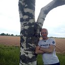  ,  , 56  -  11  2015   2015