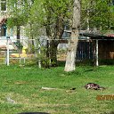 ���� ��������, ������� ��������, 24 ���� - ��������� 12 ��� 2015 � ������ ������ ��������