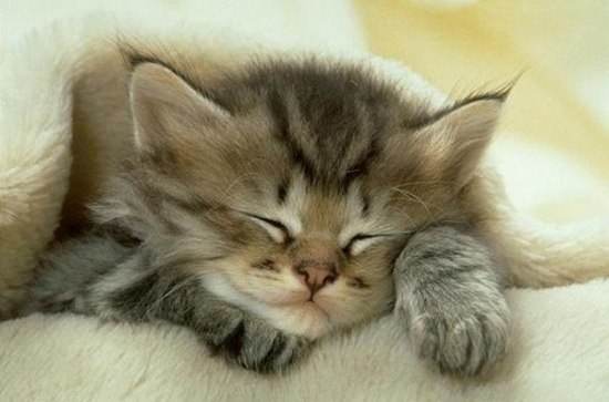 ������ ����� ����� ����? �������������, ���� � ��� ���� �������, �� ��������� ����� ��������, ��� ...