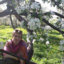 ���� �����, ��������, 56 ��� - ��������� 2 ���� 2015 � ������ ���� ����������