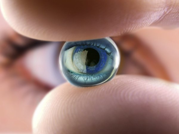Ученые из Италии создали 3D-биопротез глаза.Новость на Newsland: Ученые из Италии создали ...