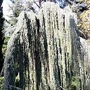 ���� ������, �������� - ��������� 21 �������� 2015 � ������ �����.���� ������