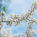 ���� ������, ��������� - ��������� 11 ��� 2015 � ������ ���� ����������