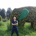 ���� �������, ���������, 44 ���� - ��������� 17 ������� 2015 � ������ ���� ����������