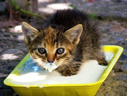 ���-�� ������� � ���������� � ����������, � ��� ������ �� ���� �������� �����