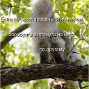 ���� ���� 66 Oksana, ���� - ��������� 17 ��� 2015 � ������ ������ ��������