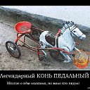 ���� ������, ������ ��������, 49 ��� - ��������� 28 ���� 2015 � ������ ���� ����������